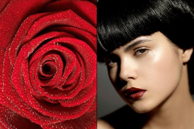 roses1