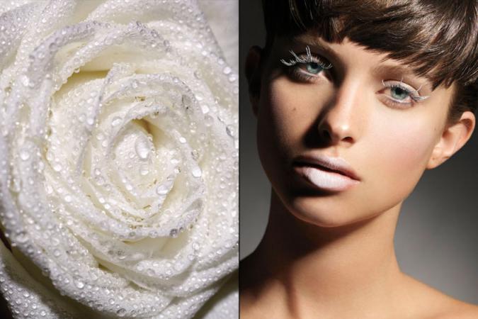 roses2