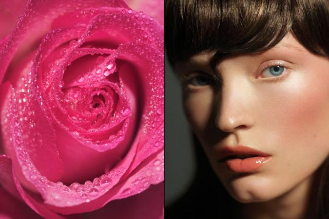 roses4